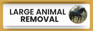 Large Animal Removal Services